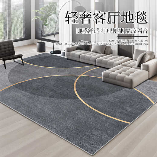 客厅地毯轻奢感免洗加厚2025可擦现代简约家用茶几地垫免 简约-1349(加厚升级款) 120cm*160cm （厂家直发同款）