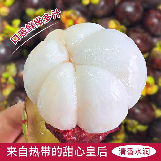闽域寻鲜泰国进口山竹水果当季孕妇宝宝辅食油麻竹现货新鲜发出整箱包邮 净重1050g｜单果45g+级｜尝鲜推荐