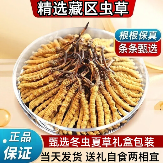 鹿章堂冬虫夏草礼盒装正宗藏区雪山虫草送礼佳品品质保证当天发货 西藏那曲精品虫草4条1克50条