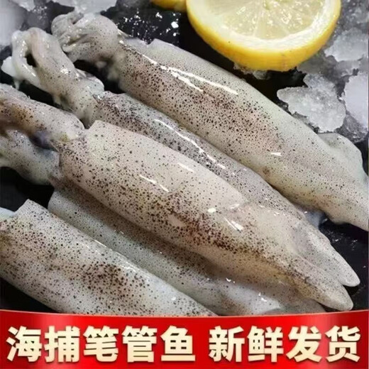 Wild fresh sea-caught quick-frozen fish, Aplysia squid roe, direct delivery from Lianyungang, fresh sea-caught fish 500g*5 packs 5 Jin Jin equals 0.5 kg