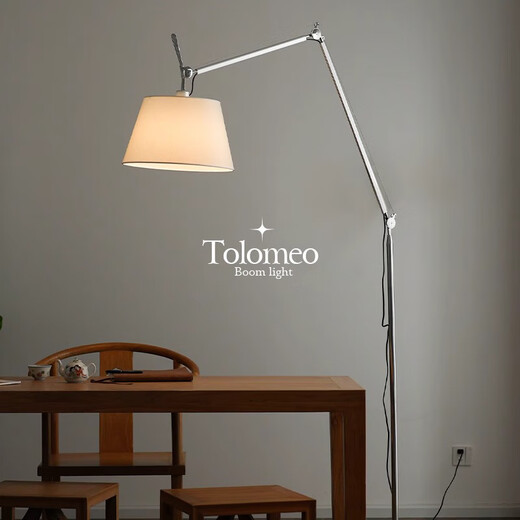 Designer Swing Arm Floor Lamp Medieval Bauhaus Living Room Sofa Ambient Light Study Bedroom Fishing Reading Light Full Spectrum Eye Protection_Warm Light