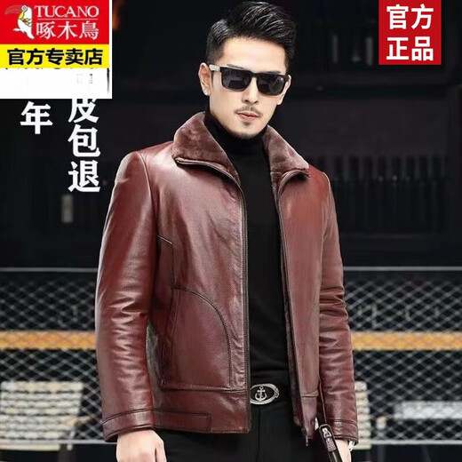 啄木鸟（TUCANO）海宁真皮皮衣水貂绒内胆绵羊皮派克服男士貂皮大衣男皮草外套冬厚 红棕色 M 165码-100-115斤
