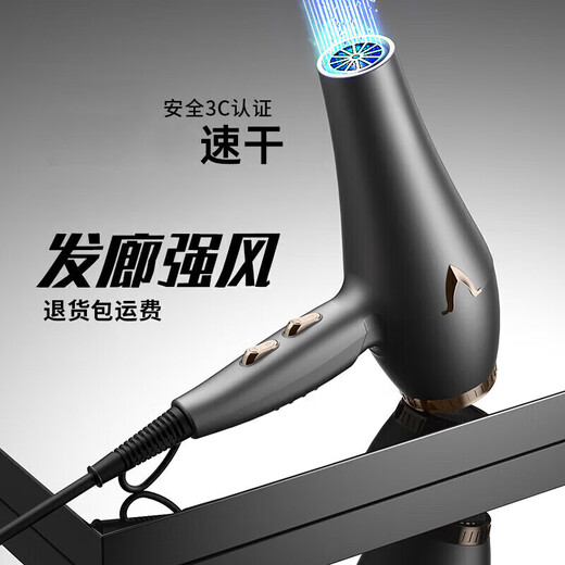 Panasonic's 3800W high-speed hair dryer, hair salon hair dryer, home silent, high-power, non-harmful blue light hair care hair dryer, quick-drying electric dryer for barber shops, black 3800W high wind, hair salon home use