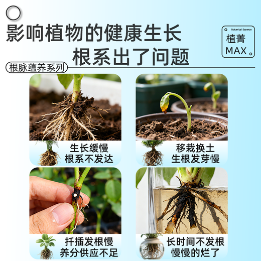 Dewoduo powerful rooting powder 500g universal tree transplanting seedlings planting rooting agent plant cuttings seedlings water-soluble fertilizer