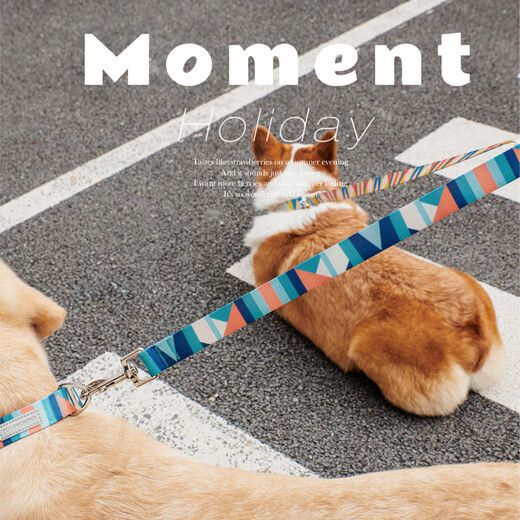 TUFF HOUND Dog Collar Leash Set Small and Medium-sized Dogs Adjustable Dog Rope Walking Rope Yellow XS Code