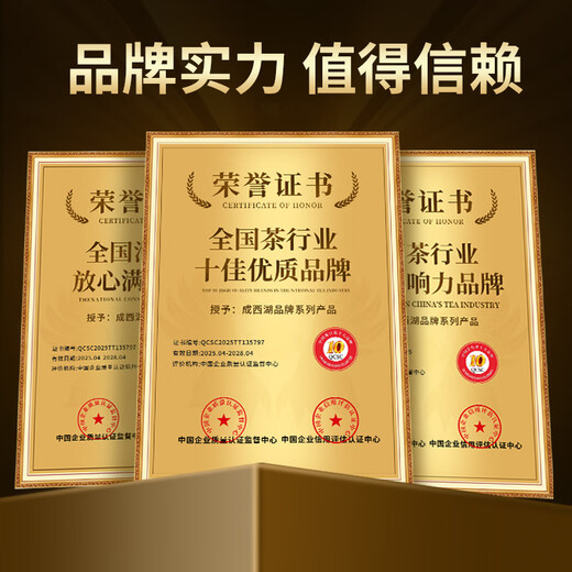 成西湖龙井茶绿茶特级明前茶叶2025新茶春茶嫩芽250g礼盒装送长辈领导