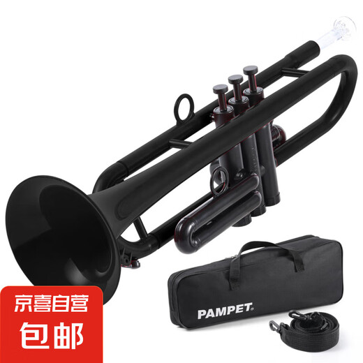 潘姆帕特PAMPET塑料小号降B调成人初学者儿童小号专业乐器通用管 黑色降B【塑料活塞/净重460g】