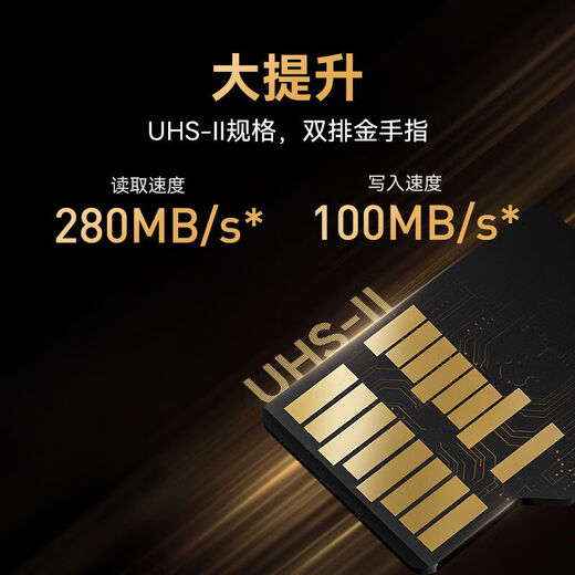 雷克沙（Lexar）【大容量稳录】128G/256G TF(MicroSD)存储卡 U3 V60 A1 读280M 256GB