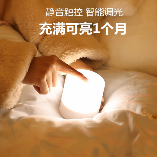 充电触摸拍拍小夜灯婴儿喂奶换尿布台灯床上睡眠宿舍酒吧定制露营 2500mAh正白光 充插两用长续航