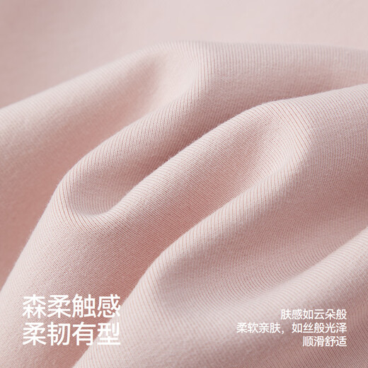 Semir Sensoft Cotton|Plum Blossom Series Sweater Women's Loose Raglan Sleeve Autumn Hooded Embroidered Pullover 101524116006