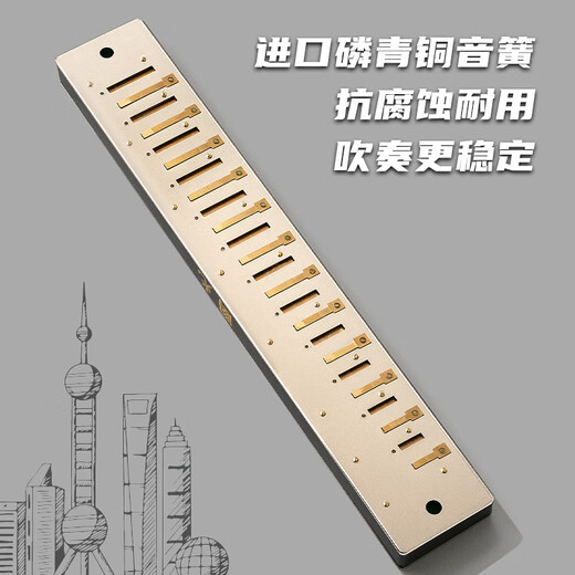 Guoguang 24-hole Guozhimeng competition-level polyphonic C-key Athens black harmonica (scale logo, with teaching materials)