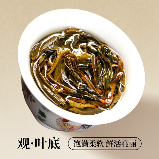 Das erste Bankett ist der besondere Phoenix Single Pine Duck Shit Duft 500G Oolong Tee Geschenkbox Mitte-Autumn-Lehrer-Tag Geschenk Teeblätter Mitte-Autumn Festival-Lehrer-Tag Duft