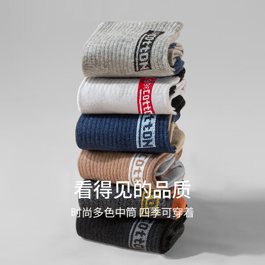 Langsha 100% reine Baumwollsocken für den Sommer für Männer dünne Freizeitsportröhrchen Xinjiang Baumwoll-Schweiß-Absorbent und geruchssichere und atmungsaktive Baumwolle [6 Paare aus hellgrau] 100% reines Baumwollgeruchsdicht von einer Größe (38-44 Größen können getragen werden)