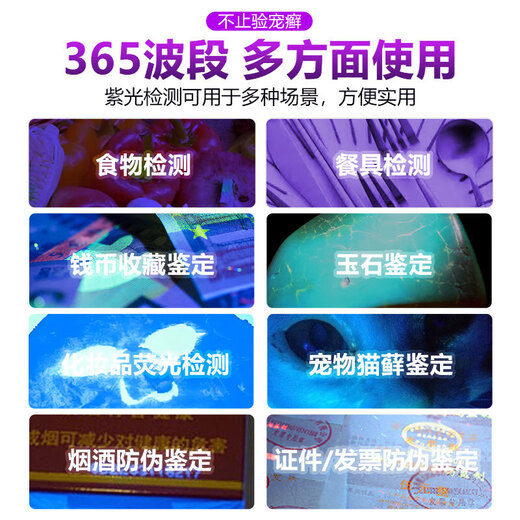 MOTIE Purple Lamp Identification Wood's Lamp UV Flashlight 365nm Fruit and Vegetable Fluorescent Detection Pen Plate Banknote Inspection