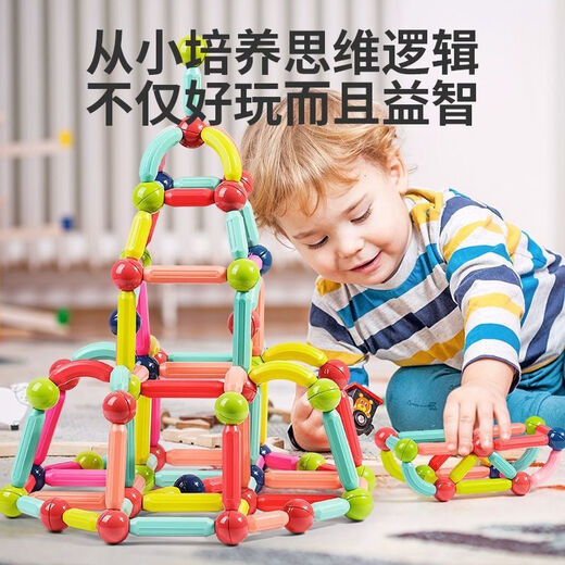 飒望德国百变磁力棒儿童玩具生日礼物3D造型强磁拼搭训练儿童益智玩具 母婴级磁力棒【56件套】带收纳盒 升级版母婴级【磁力棒】