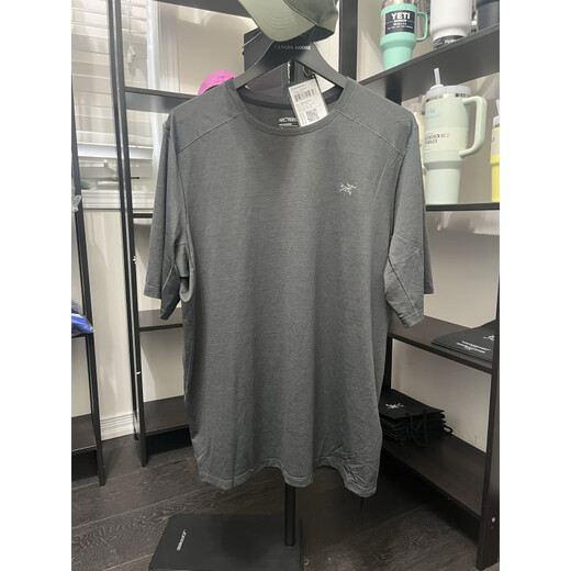 Archaeoptera Bird (ARC'TERYX) Canada Arc'teryx Archaeoptera Bird Men's Short Sleeve T-shirt Cormac Quick Dry Clothes Tatsu Green_Big Bird Label behind_x9721 2XL