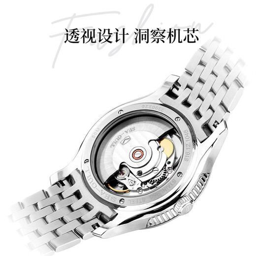Watch Watch Mecanical Mecánico Hombres de Seagull Menor Hombres Simple Business Classic Single Calendar Steel Wnist Watch 816.12.1048 816.12.1048