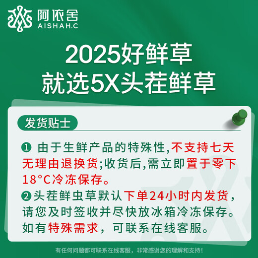 Ayishe 25 years of fresh Cordyceps sinensis 0.7-0.8g/30 roots of fresh Cordyceps sinensis [Straight hair at the source]