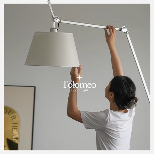 Designer Swing Arm Floor Lamp Medieval Bauhaus Living Room Sofa Ambient Light Study Bedroom Fishing Reading Light Full Spectrum Eye Protection_Warm Light