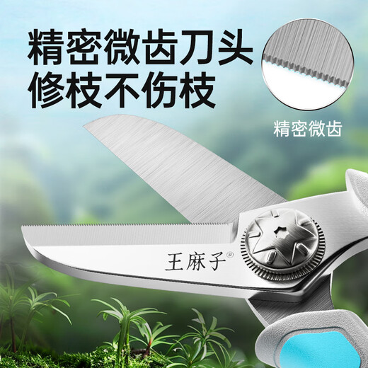 Wang Mazi floral scissors, pruning shears, gardening scissors, fruit tree potted flowers, flower branch scissors, professional floral scissors