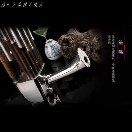 时笙笙乐器 紫竹圆笙17簧14簧扩音笙表演考级练习笙黄铜电镀笙管 芦笙全黑14簧笙(D调)