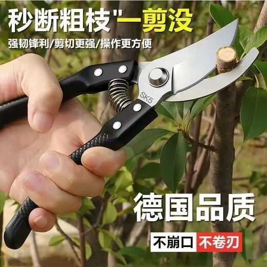 German craftsmanship imported steel branch shears, tree scissors, fruit tree shears, pruning scissors for household flowers, trees and grapes to prune branches. 100% sharp + strong hardness. Not the main picture. On sale. German imported steel blades. Clearance.