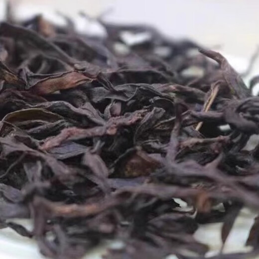 天池1392老枞蜜兰香凤凰单丛茶 甄稀品种特级蜜兰香春茶罐装100克 浓香型 100g