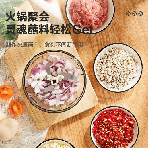 Garlic puller manual garlic pounding artifact garlic grinder minced garlic household 2025 new meat grinder 650m 3 blades
