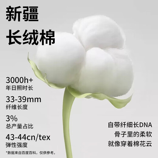 Catman heavyweight Xinjiang long-staple cotton T-shirt men's autumn and winter new casual versatile long-sleeved bottoming shirt sports sweatshirt men's clothing