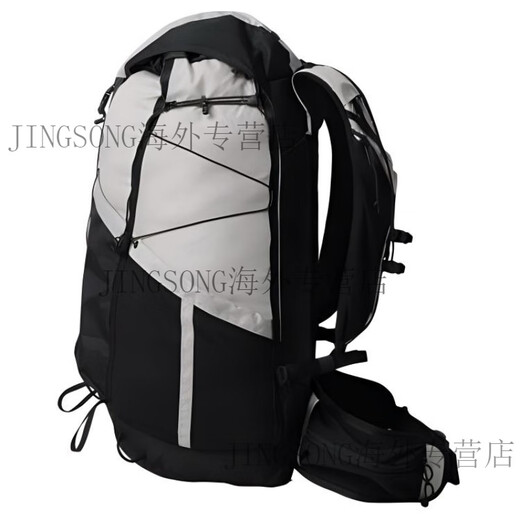 萨洛蒙（Salomon）27L远足运动休闲大容量尼龙登山包双肩包常规男女同款情侣款白色 白色拼黑色