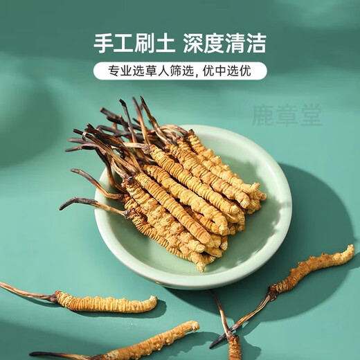 西那藏曲虫草雪山冬虫夏草虫草王雪山高海拔滋补送礼盒装全网比价 西藏那曲虫草10条装(4条一克)