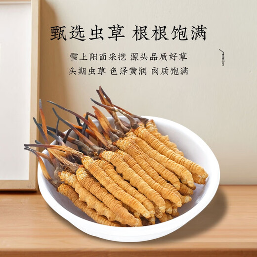 冬虫夏草干货正宗冬虫夏草礼盒装虫草王雄风道滋补养生冬虫夏草 两根一克10根【盒装】