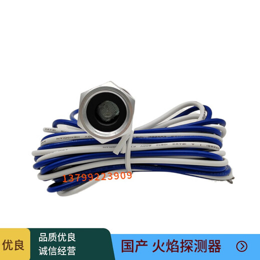 BEYZK火焰探测器C7027A1049C7027A1031C7027A10721023 C7027A1049国产高
