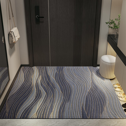 
Small electric bag XELECPOCKET floor mat entry door mat 2025 new light luxury high-end entrance door foot mat anti-slip and dirt-resistant free-washing entrance carpet Liuying-15272 60cm*90cm Upgraded 9th generation dirt-resistant Falman