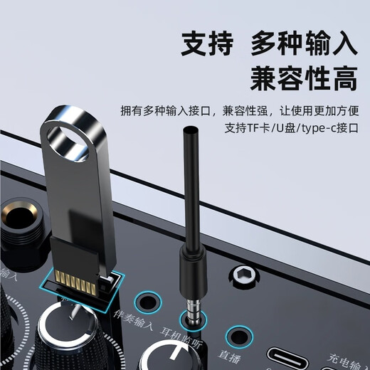 山水G205S音响功放一体机2025新款全新升级家用户外便携手提式直播声卡大功率广场舞音响无线蓝牙音箱 山水G205S旗舰版【配音响包】