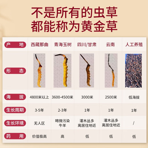Wildsis-Nahrungsergänzungsmittel werden den Ältesten und Ältesten zur Verfügung gestellt, um ältere Menschen und die Ernährung Dragon Boat Festival Gift Box High-End-Geschenke für Eltern und Älteste zu sehen. Wilde erste Stoppeln sind ungefähr 0,6 g/Wurzel 20 Wurzeln