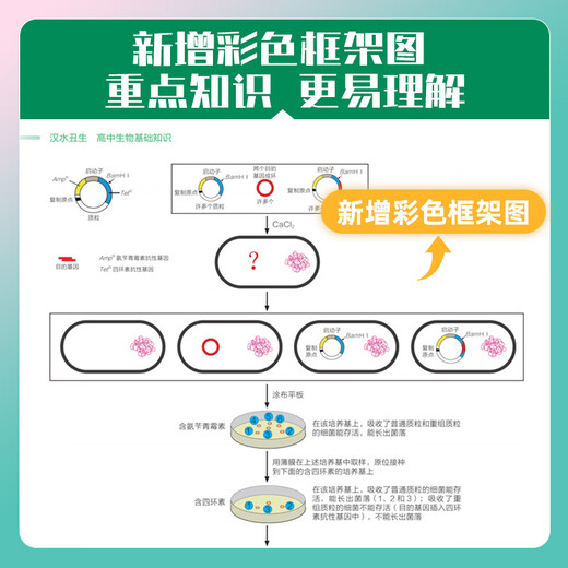 
2025 New High School Biology Basics Knowledge Hanshui Chou Student Hou Wei Zero Basics Genetic Regression Textbook Fill in the Blank Manual College Entrance Examination First, High School Second, Senior Three First Round Review Textbook Material Map Knowledge List [2025] Completely brushed 1,300 questions for real questions, chemistry, national general