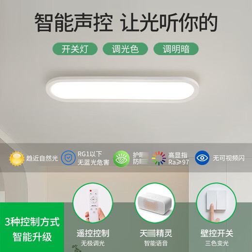 Grand View Garden Aisle Light Corridor Light LED Plafait Light Modern Modern Simple Nordic Long Living Room Light Study Balcon Lamp 263 3892-White 80cm-Three Couleurs 32W-Full Spectre