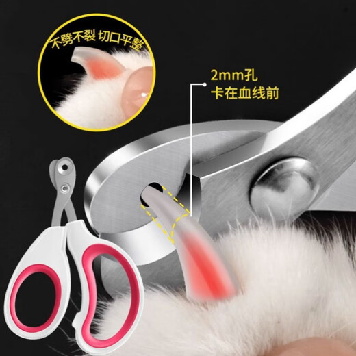 XMSJ Nail Cutting Artifact Five-piece Set Comb Comb, Remove Floating Hair, Massage Comb Dog Hair Brushing Special Corgi Needle Comb Supplies, Pet Care 5-piece Set, Washing and Care Five-piece Set, Upgrade