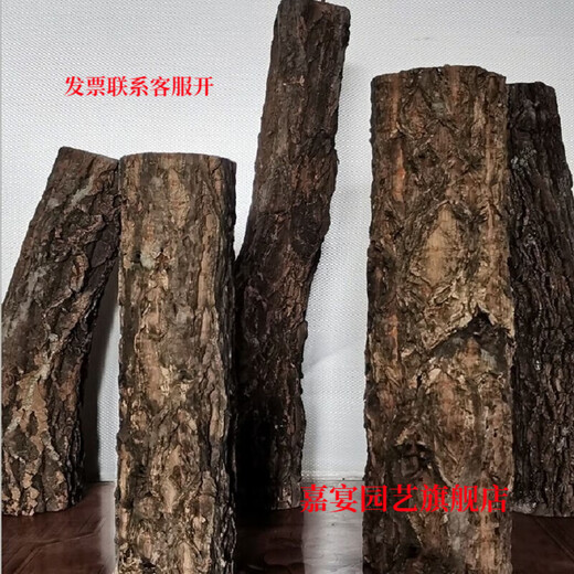 Champagne trunk underwater forest ornaments, pure natural water and land tank, rainforest tank, landscaping, climbing pet turtle terrace, 1-2 cm in diameter and 20 cm long.