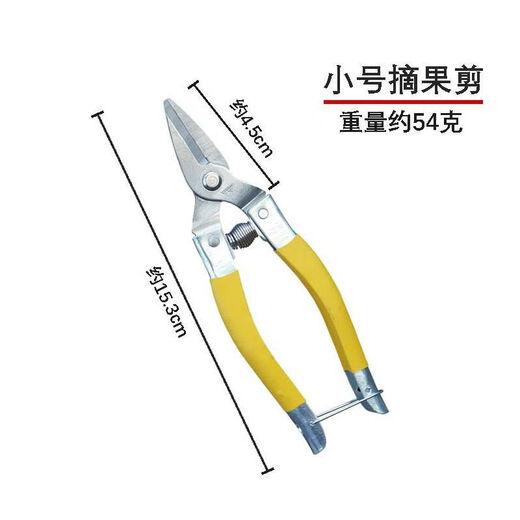 An Junsheng A-grade Luoding fruit scissors, medium yellow, small yellow and thin fruit scissors, garden scissors, stainless steel fruit picking scissors, orange pruning pruning, vegetable and fruit scissors, small size - yellow Luoding fruit picking scissors