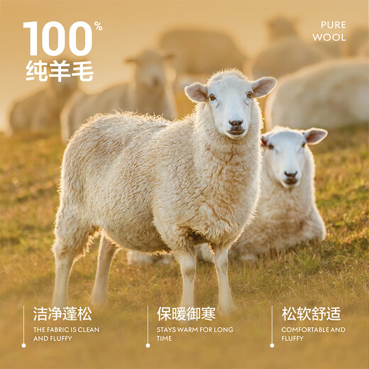 Heilan House Cardigan Men's Pure Wool Half-Turtle Collar Printed Sweater Winter Men's Dark Gray H8 L 175/92A Recommended 137~150Jin Jin equals 0.5 kg