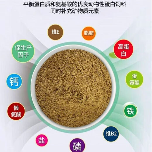 Imported steam fish meal from Peru to feed chickens, high-protein feed, fish meal, breeding, feeding chickens, ducks, geese, pigs and shrimps, fish bone meal 2Jin Jin is equal to 0.5 kg fish bone meal