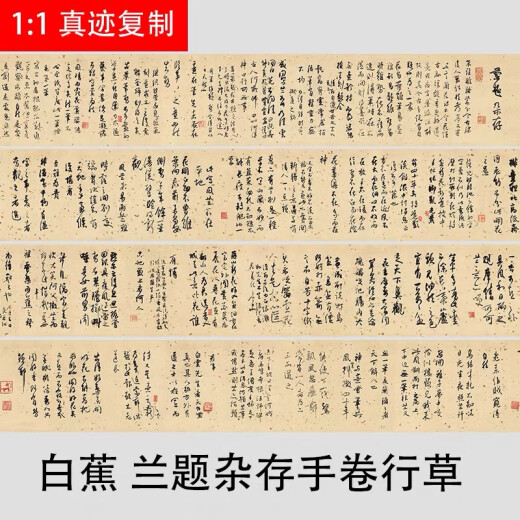 Famosos calígrafos modernos y contemporáneos Bai Jiao, inscripciones de orquídeas, largos pergaminos de secuencias de comandos de ejecución y cursivos, libros de copias micropastrados, papel de arroz, sin montar 26x677 cm, solteros
