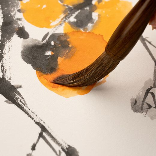 Hu Ying Lang hair brush set and hair brush professional grade soft pen calligraphy pen large and small medium regular script brush seal script brush Chinese painting brush calligraphy beginner set Hongyan set