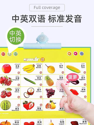 幼儿童发声点读学习书宝宝早教机神器充电玩具拼音唐诗中英文 幼小衔接2-11岁点读书-充电款