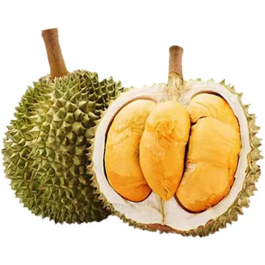 东来甄选马来西亚D200黑刺榴莲自然树熟液氮锁鲜礼盒装送人送长辈顺丰冷链 甄选【保5房】当季新果5.1-5.5斤