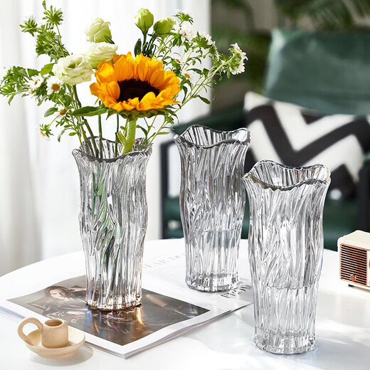 Cuttlefish vase light luxury glass height 22cm large diameter transparent ornament tulip rich bamboo cultivation container New Year's Day gift