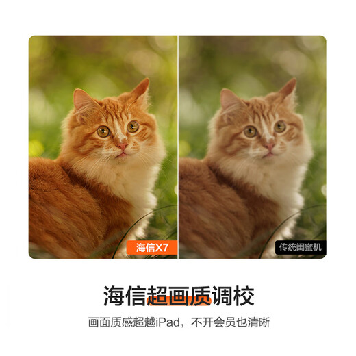 海信大白闺蜜机X7【国家补贴】10h长续航 护眼屏 27英寸8+256GB大平板 娱乐观影健身 移动电视女生礼物