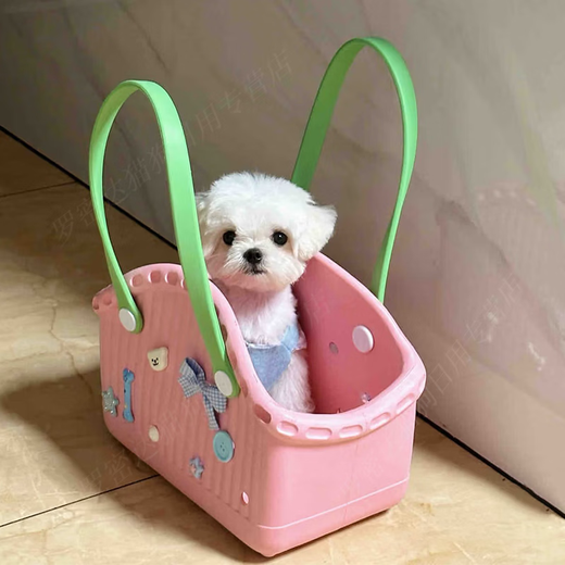 狗狗猫咪便携托特包宠物小型犬夏天外出神器手提篮约克夏马尔济斯 淡粉绿[撞色多巴胺*可DIY配饰] M-中型[建议8斤内爱宠]